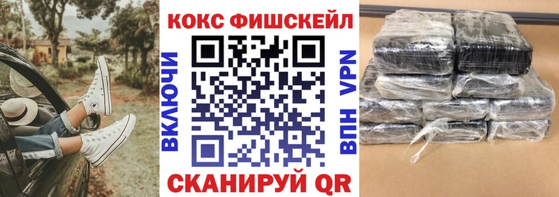 Купить закладки  Партизанск  COCAIN Columbia 