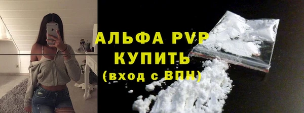 индика Каменка