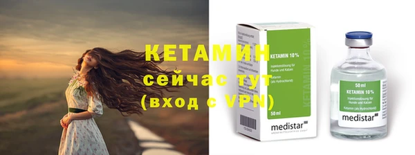 индика Каменка