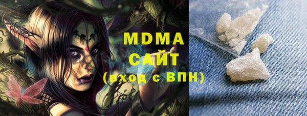 индика Каменка