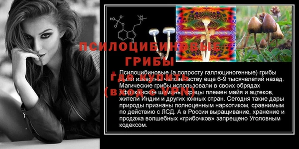 индика Каменка