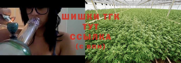 индика Каменка