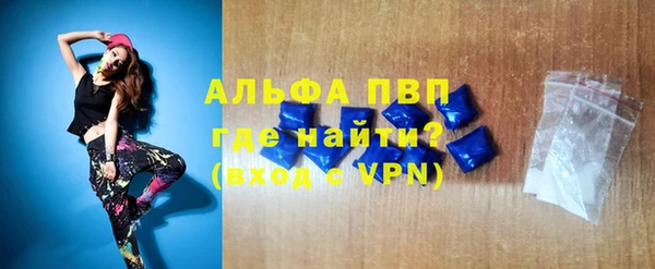 индика Каменка